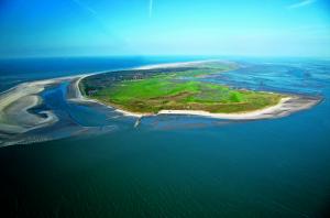 Nordsee: Entspannen in der Idylle der Natur